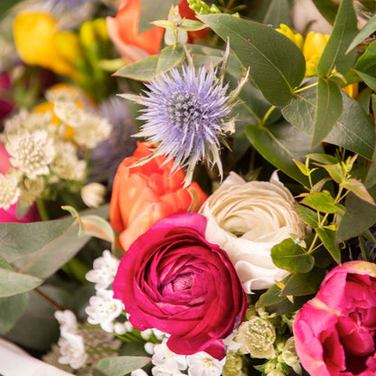 Bono regalo taller ramos